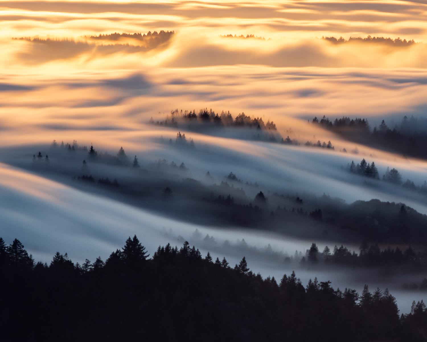 Fog enveloping Mt. Tamalpais, California, during sunset